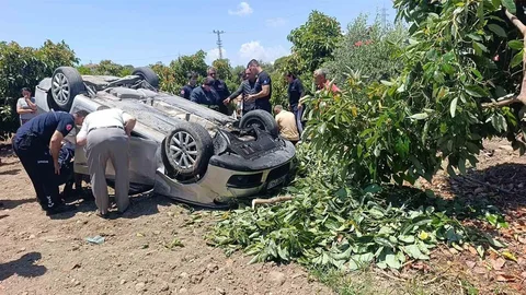 Otomobil Avokado Bahçesine Uçtu