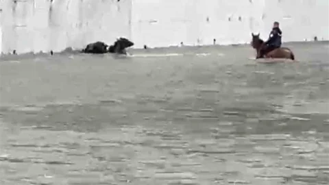 Karabük'te Manda Kurtarma Operasyonu