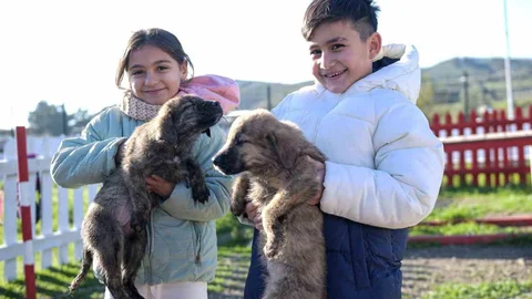 İzmir Dikili'de Sokak Hayvanları Kampüsü
