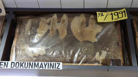 Sivas'ta 35 Yıllık Bal Çerçeveleri İlgi Odağı