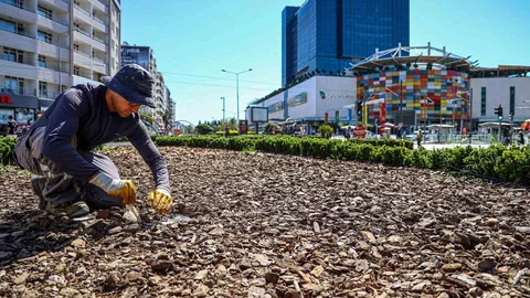 Antalya'da Kuraklığa Karşı Peyzaj Projesi