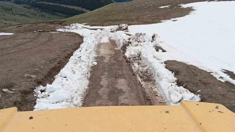 Ardahan'da Yayla Yolu Açıldı