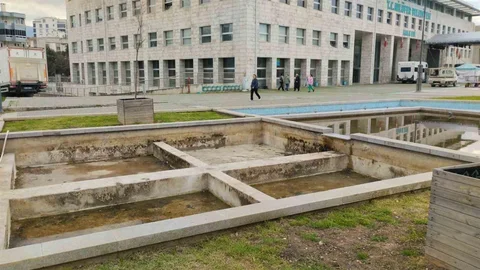 Nilüfer'de Süs Havuzları Yeniden Hayat Buluyor