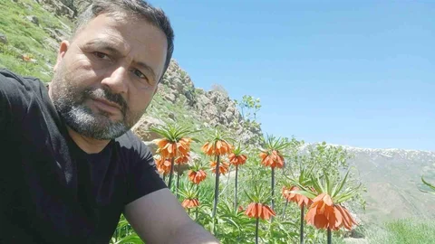 Hakkari'de Ters Laleler Görüntülendi