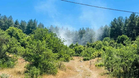 Menteşe'de Orman Yangını Kontrol Altına Alındı
