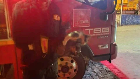 Motor Bölümüne Sıkışan Kedi Kurtarıldı
