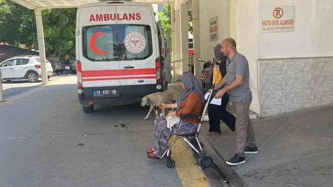 Mersin'de Mantar Zehirlenmesi Olayı