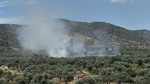 Bayındır'da Zeytinlik Yangını Çıktı