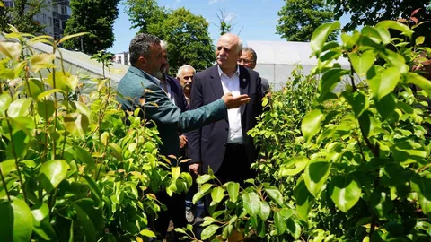 Çiftçiler Rize'de Doğal Afetlerle Mücadele Ediyor
