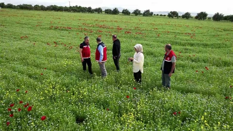 Adıyaman'da Çiftçiler Alternatif Ürünlere Yöneldi