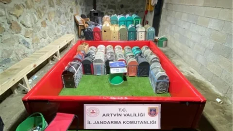 Artvin'de Horoz Dövüşü Baskını