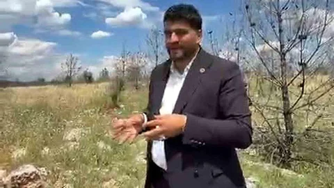 Gaziantep'te Ormanlık Alanda Yol Talebi