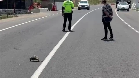 Hınıs'ta Trafiği Durduran Polis Memuru