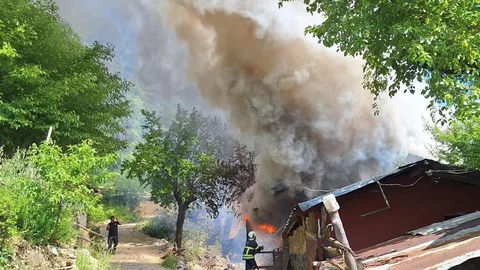 Kozan'da Yangın Ormana Sıçradı