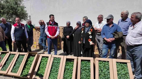 Tekirdağ'da 256 Bin Fide Dağıtıldı