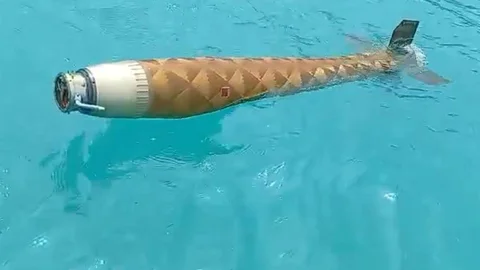 Ayancık'ta Şüpheli Cisim Bulundu