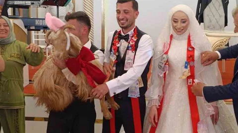 Trabzon'da Düğünde Keçi Takıldı