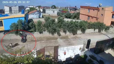 Hatay'da Motosiklet Kazası