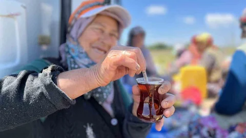 Bursa'da Tarım İşçileri Odun Ateşinde Çay İçiyor