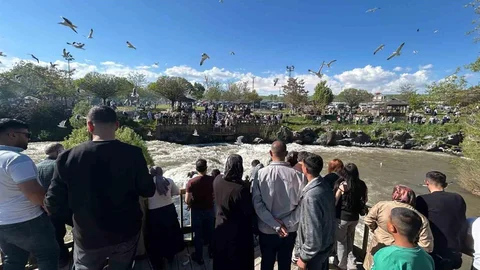 İnci Kefali Göçü Van'da İlgiyle İzleniyor