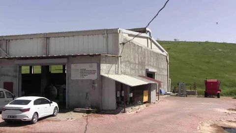 Siirt'te Süt Sığırcılığı Tesisine Destek