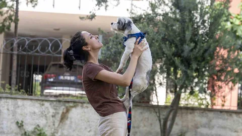 Mersin'de 1927 Köpek Sahiplendirildi