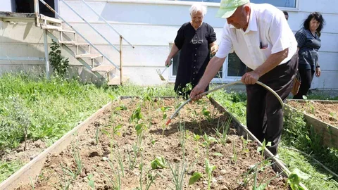 Nilüfer'de Yaşlılar Fide Dikti