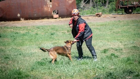 Muğla Arama Kurtarma Köpekleri Macaristan'da Eğitimde