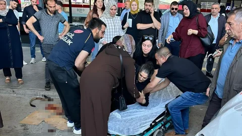 Elazığ'da Köpek Saldırısı