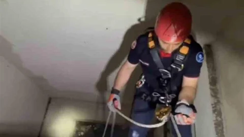 Kocaeli'de Yavru Martı Kurtarıldı