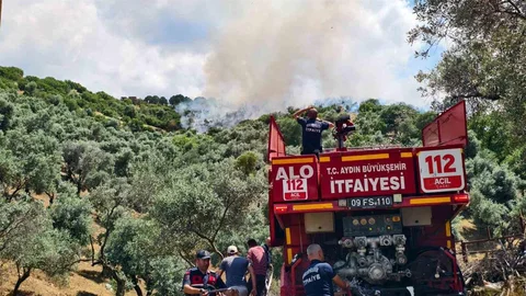 Yenipazar'da Otluk Alan Yangını Kontrol Altına Alındı