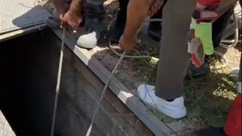 Eşek Havalandırma Boşluğundan Kurtarıldı