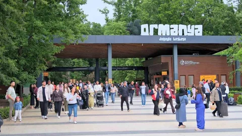Bayramın Gözdesi Ormanya Oldu