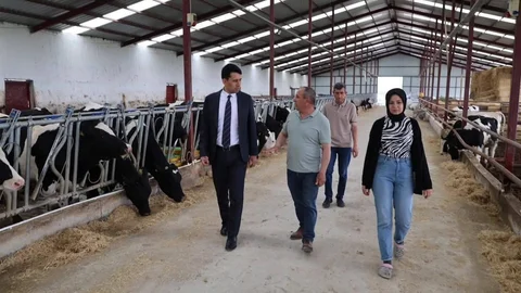Beylikova Kaymakamı Kantilav Faaliyetleri İnceledi