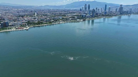 İzmir Körfezi'nde Kirlenme Tespiti Yapıldı