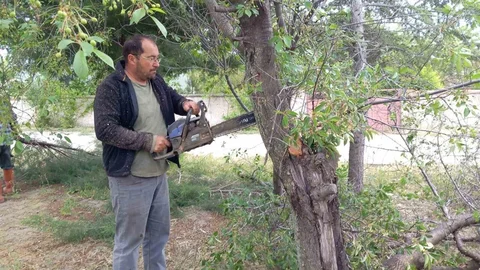 Yarımca Köyü Muhtarından Doğa Dostu Davranışlar