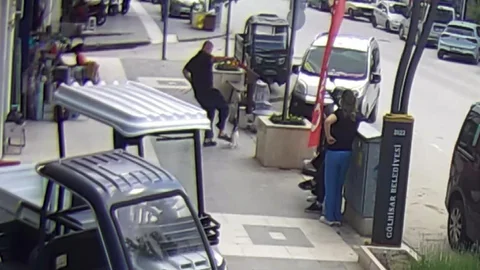 Köpeğine Saldıran Kediye Tekme Attı