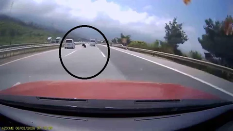 Hatay'da Yola Fırlayan Angus Korkutucu Anlar Yaşattı