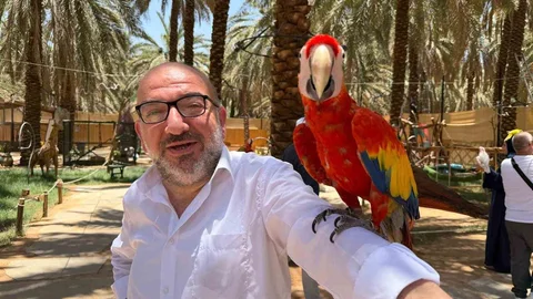 Medine'de Hacıların İlgi Odağı: Papağanlar