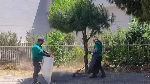 Efeler'de Yeşil Alan Düzenlemeleri Devam Ediyor