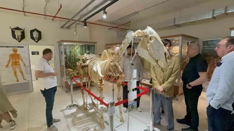 Eskişehir'de Yeni Zooloji Müzesi Açıldı