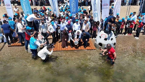 İzmit Körfezi'ne Yeni Balıklar Bırakıldı