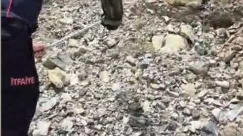 Osmaniye'de Yılan Alarmı