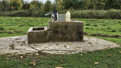 Zonguldak'ta 17 Yaşındaki Kızın Cinayet Davası