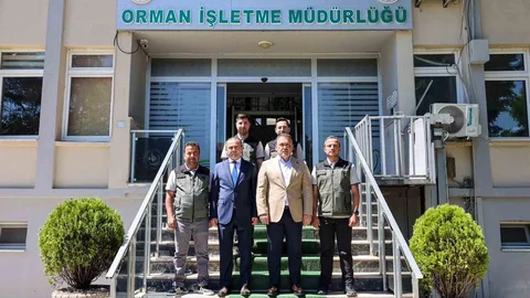 Bilecik'te Orman Yangınları İçin Tedbirler Alındı