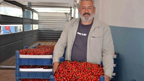 Bilecik'te Kiraz Rekoltesi Yüzleri Güldürüyor