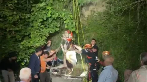 Kastamonu'da Su Kuyusuna Düşen İnek Kurtarıldı