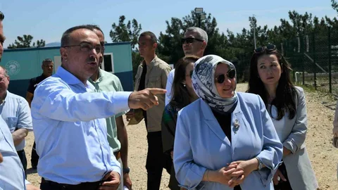 Tekirdağ'da Sahipsiz Hayvan Alanı İncelemesi