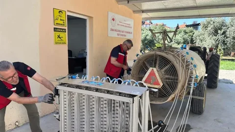 Manisa'da Üzüm Kalıntı Denetimi