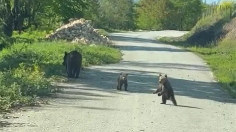 Düzce'de Kardeşlerin Ayı ile Sohbeti